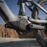 AMFLOW PR CARBON AVINOX M2